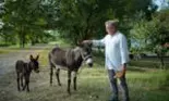 Mircea Dinescu, dorul de soție îl sfâșie. Ce i-a cerut scriitorul fiului său?