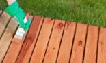 (P) Tips&tricks: află cum să investești într-un lac pentru lemn de calitate!