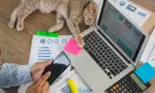 Beneficiile animalelor de companie la locul de muncă