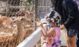 Omicron a fost găsit la animale! Asta ar trebui să ne îngrijoreze