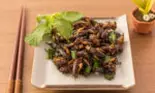 În următorii ani vom ajunge să mâncăm insecte… cu aromă de ciocolată sau vanilie