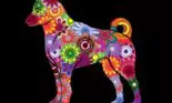 Horoscopul chinezesc 2022 – Câinele