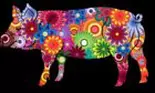 Horoscopul chinezesc 2022 – Porc