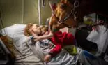 Câtă suferință există pe lumea aceasta: iată o fotografie greu de privit…
