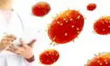 UE cere punerea în carantină a animalelor de companie ale celor infectați și a persoanelor de contact ale acestora pentru a preveni ca variola maimuțelor să devină endemică