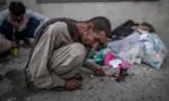 Iadul drogurilor din Kabul. Până și câinii sunt dependenți de heroină, iar cadavrele afganilor supradozați sunt împrăștiate pe străzi