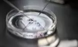 O femeie de 23 de ani a murit „brusc” în timp ce făcea fertilizare in vitro. Iată ce complicație rară a făcut