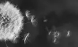 Horoscop miercuri 11 octombrie, se apropie valul schimbării