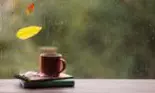 Horoscopul lunii NOIEMBRIE