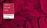 Culoarea anului 2023 de la Pantone este o „nuanță neconvențională” derivată din cârmâz