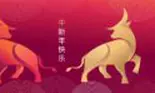 Zodiacul Chinezesc 2023: Bivolul