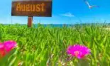 Horoscopul lunii AUGUST 2023