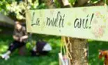 Mesaje de Sfântul Ilie 2025. Nu uita să le spui „La mulți ani” celor dragi!