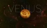 Cum va afecta Venus retrograd fiecare semn zodiacal vara aceasta