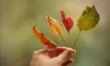 Horoscopul lunii SEPTEMBRIE 2023