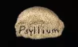Este Psyllium o alternativă naturală, mai ieftină decât Ozempic?