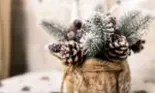 Horoscopul lunii DECEMBRIE 2023