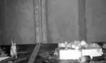 Un video șocant: un șoarece face curat în șopronul unui bărbat în fiecare noapte
