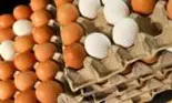Loturi de ouă bio, retrase de la vânzare din două mari lanțuri de magazine, din cauza unui risc de Salmonella Typhimurium