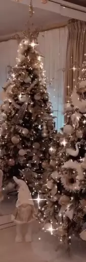 Bianca-Dragusanu-brad-3