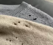 Cum îți protejezi hainele de molii în sezonul rece!