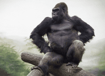 King Kong și-a câștigat și el dreptul de a avea un serial