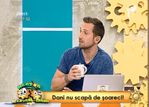 Dani Oţil a fost invadat de rozătoare