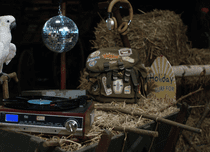 De sâmbătă, 23 iunie, Boomerang lansează un nou serial de comedie, „Cei cinci prieteni fermieri”