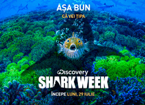 Din 29 iulie Discovery difuzează ediții noi ale emisiunii „Shark week”