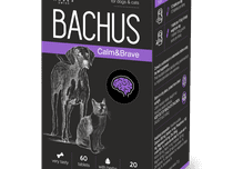 Cauți să achiziționezi un medicament veterinar? Când și cum să îl administrezi?