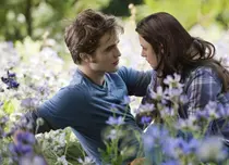 Stephenie Meyer a rescris „Saga Amurg”