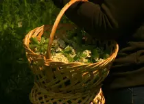 Digi Life lansează seria de minidocumentare „Vraci, secrete și rețete”