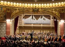 Filarmonica „George Enescu” transmite online concertele din colecția „Clasic e fantastic”