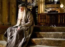 Actorii care au fost absenți de la reuniunea Harry Potter