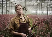 Ecranizările a șase romane de succes, de la „Florile pierdute ale lui Alice Hart” la „Tatuatorul de la Auschwitz”, ajung curând pe ecrane