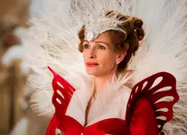 Oglindă, oglinjoară