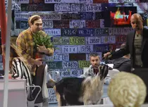 Cosmin Seleși prezintă, în această seară, “iComedy” 