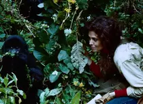 Sâmbătă, Filmul de Oscar la TVR 2: "Printre Gorile", cu Sigourney Weaver