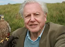David Attenborough urmăreşte evoluţia zborului la Sky