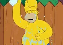 VIDEO: Ice Bucket Challenge a ajuns în Springfield