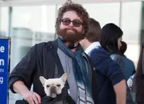 Zach Galifianakis se mută pe micul ecran, cu serialul „Baskets”