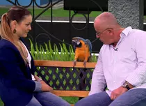 Digi Animal World va avea o emisiune producţie proprie, “Digi Animal Club”