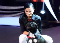 Continuă spectacolul animalelor la „Ham Talent”!