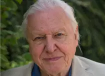 Echipa lui David Attenborough a fost jefuită de un urs polar