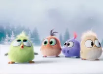 „Angry Birds” ne urează sărbători fericite!