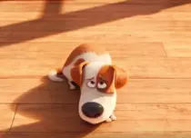 Animația „The Secret Life of Pets” / „Singuri acasă” are trailer nou