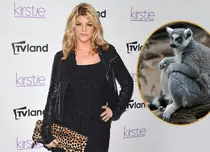 Kirstie Alley creşte 14 lemuri