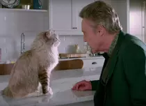 „Nouă vieți” / „Nine Lives”: Kevin Spacey este un motan în primul teaser