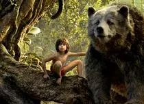 Urmarea la „Cartea junglei” e deja în lucru!