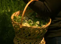 Digi Life lansează seria de minidocumentare „Vraci, secrete și rețete”